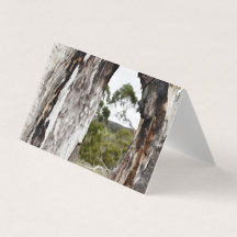 Tarjeta de felicitación en blanco de la ventana de