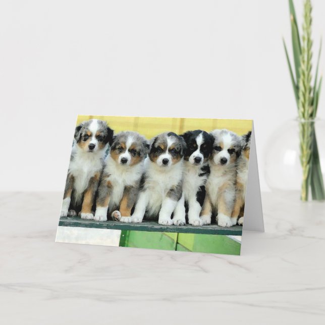 Tarjeta de felicitación en blanco de los perritos (Anverso)