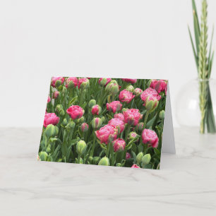 Tarjeta de felicitación en blanco de tulipanes en
