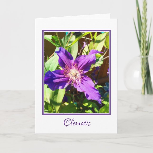 Tarjeta de felicitación en blanco del Clematis (Anverso)