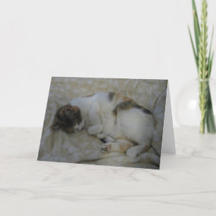 Tarjeta de felicitación en blanco del gato el