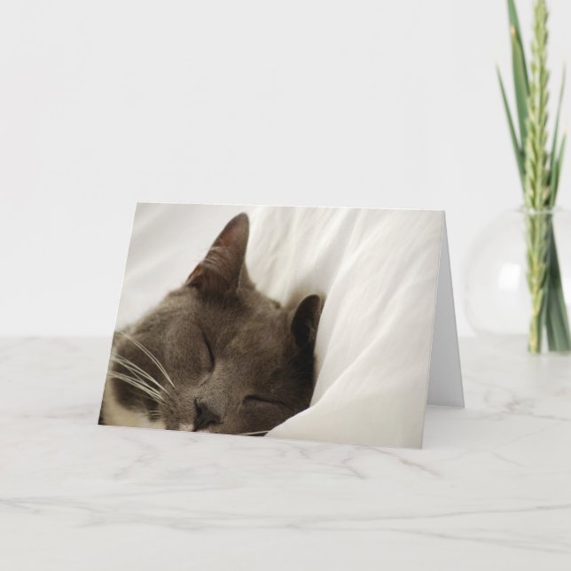 Tarjeta de felicitación en blanco del gato lindo (Anverso)