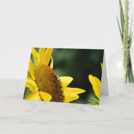 Tarjeta de felicitación en blanco del girasol