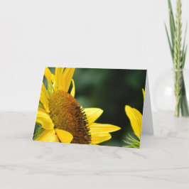 Tarjeta de felicitación en blanco del girasol
