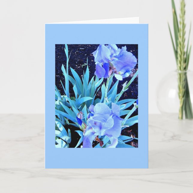 Tarjeta de felicitación en blanco del iris (Anverso)