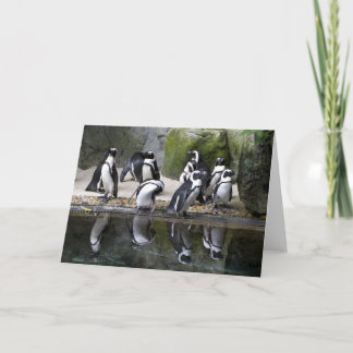 Tarjeta de felicitación en blanco del pingüino