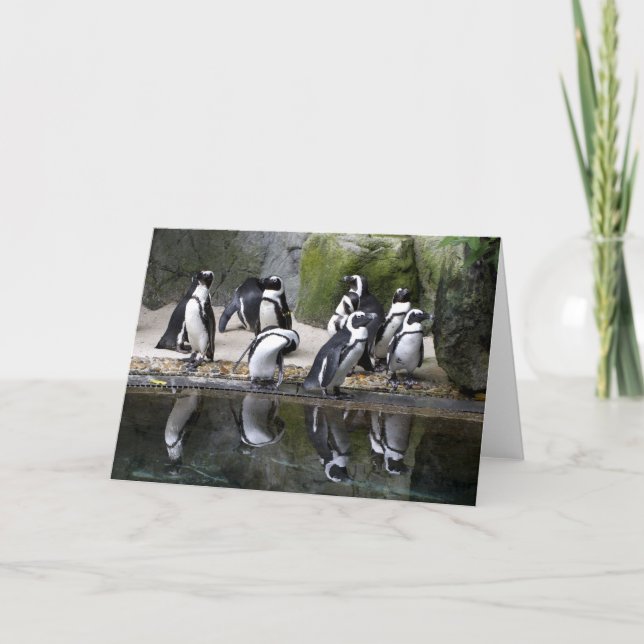 Tarjeta de felicitación en blanco del pingüino (Anverso)