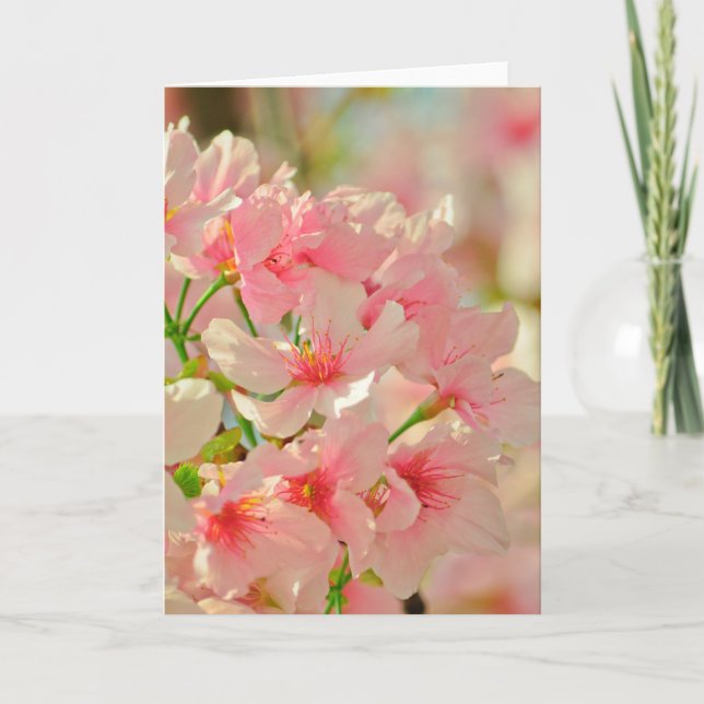 Tarjeta de felicitación, en blanco dentro (Anverso)