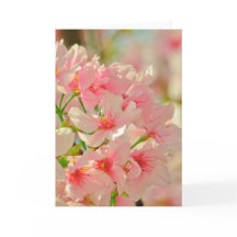 Tarjeta de felicitación, en blanco dentro