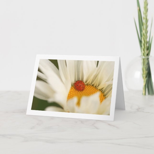 Tarjeta de felicitación en blanco doblada con un ú (Anverso)