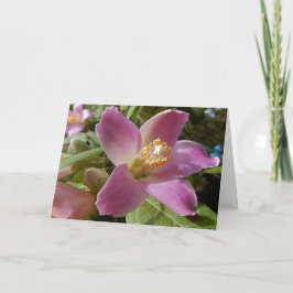 Tarjeta de felicitación en blanco - Flor de árbol