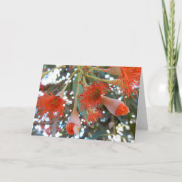 Tarjeta de felicitación en blanco - flores