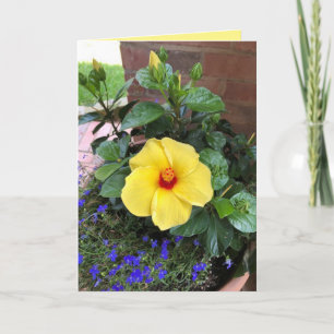 Tarjeta de felicitación en blanco "Foto floral"