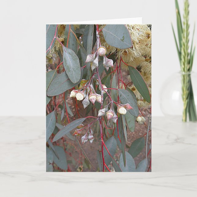 Tarjeta de felicitación en blanco - Nueces de goma (Anverso)