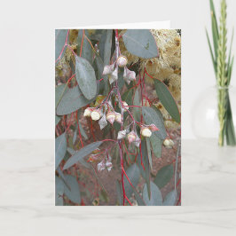 Tarjeta de felicitación en blanco - Nueces de goma