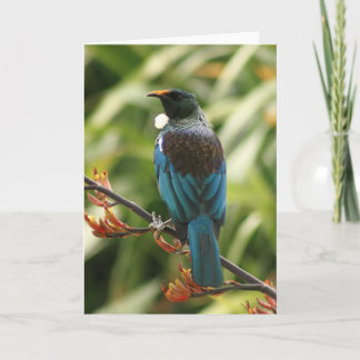 Tarjeta de felicitación en blanco: NZ Tui Bird