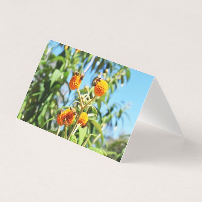 Tarjeta de felicitación en blanco para abejas en e (Anverso)