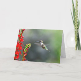 Tarjeta de felicitación en blanco para aclarar
