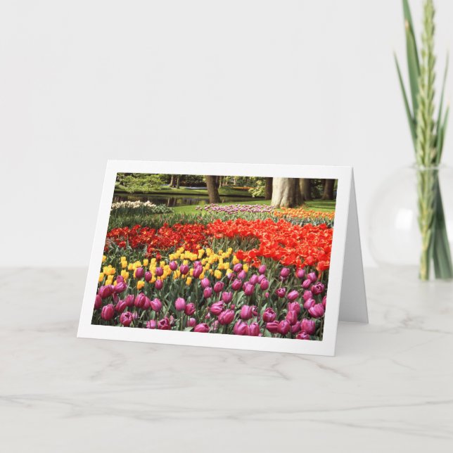 Tarjeta de felicitación en blanco plegado Tulip Ga (Anverso)