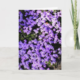 Tarjeta de felicitación en blanco 'Purple Springti