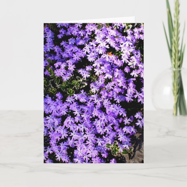 Tarjeta de felicitación en blanco 'Purple Springti (Anverso)