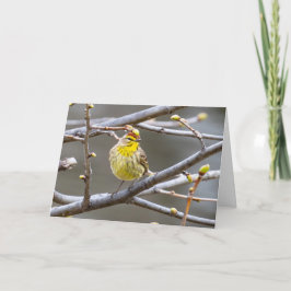 Tarjeta de felicitación en blanco Warbler