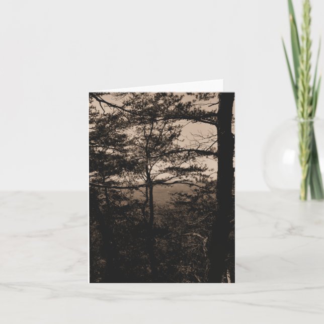 Tarjeta de felicitación Entorno Natural Forestal (Anverso)