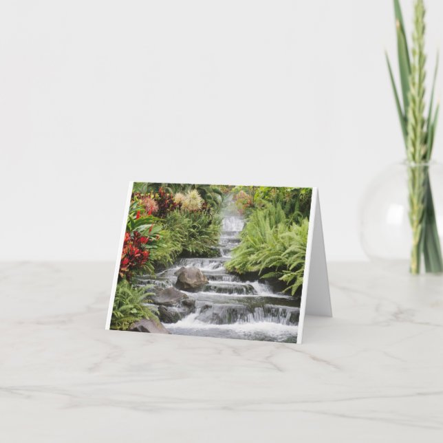 Tarjeta de felicitación escénica de la cascada (Anverso)