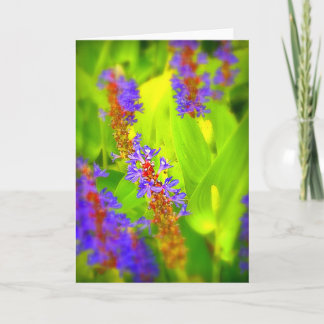 Tarjeta de felicitación - esconda dentro