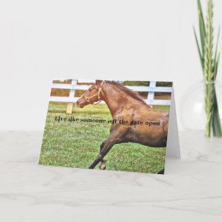 Tarjeta de felicitación ESPECIAL CONNEMARA