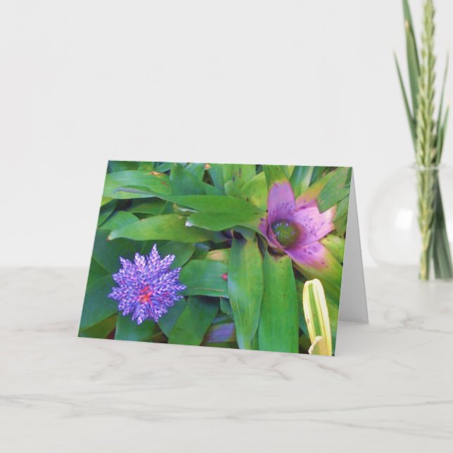 Tarjeta de felicitación exótica púrpura de la (Anverso)
