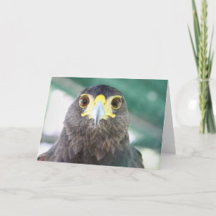 Tarjeta de felicitación Falcon