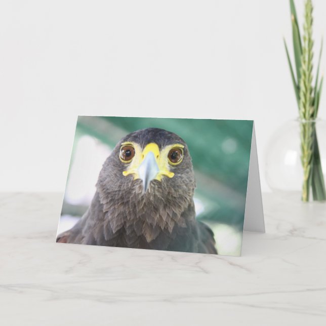Tarjeta de felicitación Falcon (Anverso)