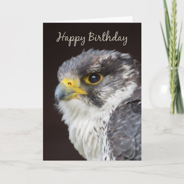 Tarjeta de felicitación Falcon Birthday - Pájaro d (Anverso)
