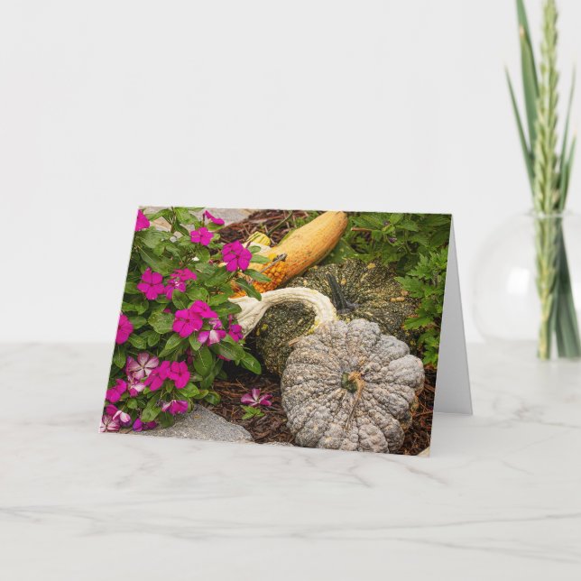 Tarjeta de felicitación Fall Gourds & Impatiens (Anverso)