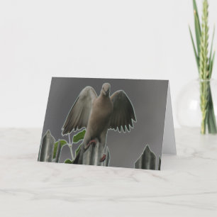 Tarjeta de felicitación Fallen Angel Dove