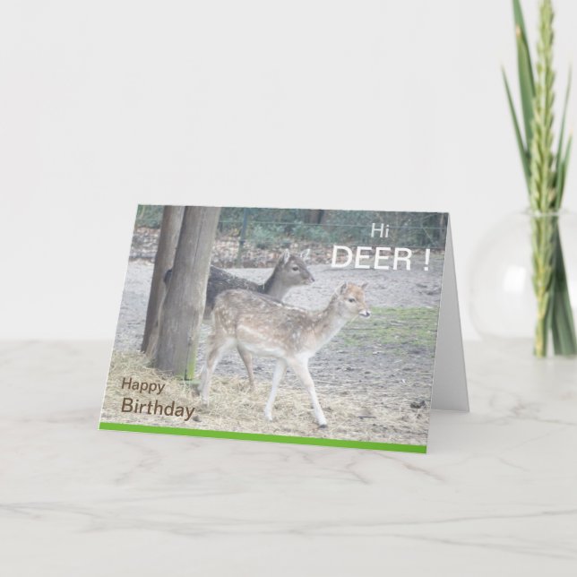 Tarjeta de felicitación Fallow Deer Birthday (Anverso)
