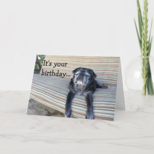 Tarjeta de felicitación: Felices