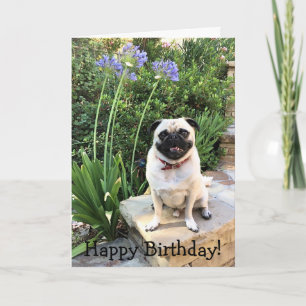 Tarjeta de felicitación: ¡Feliz cumpleaños!