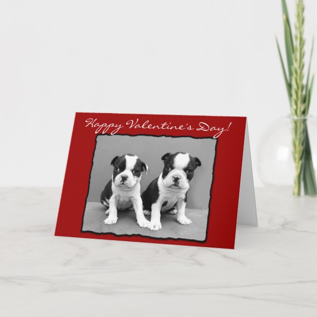 Tarjeta de felicitación feliz de Boston Terrier (Anverso)