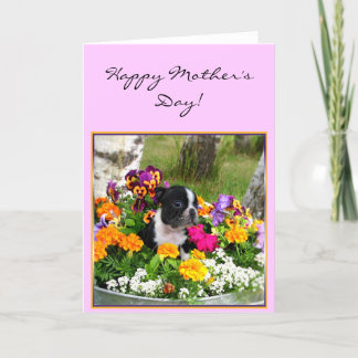 Tarjeta de felicitación feliz de Boston Terrier