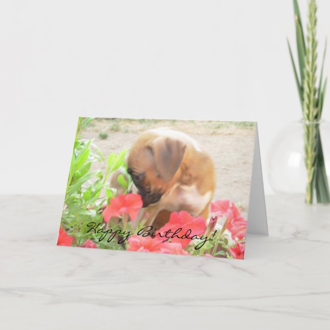 Tarjeta de felicitación feliz de cumpleaños Boxer (Anverso)