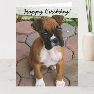Tarjeta de felicitación feliz de cumpleaños Boxer