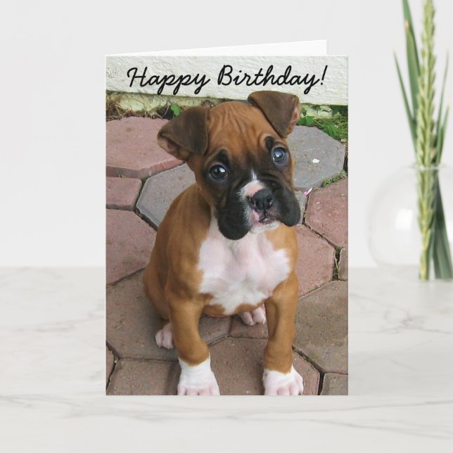 Tarjeta de felicitación feliz de cumpleaños Boxer (Anverso)
