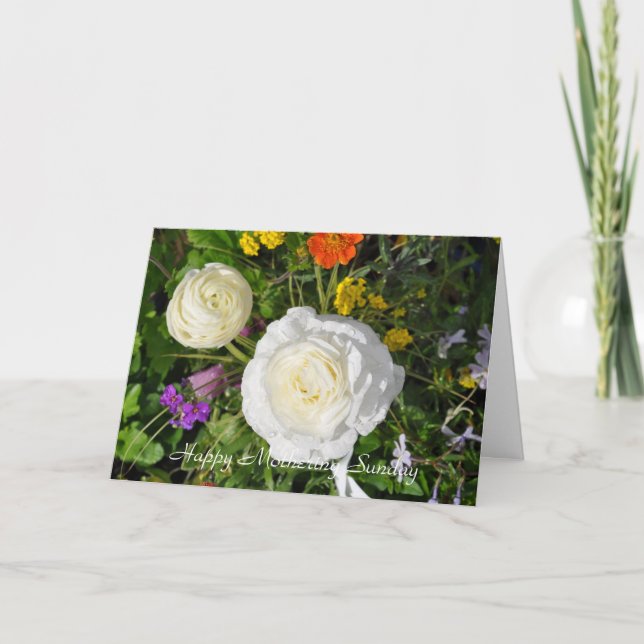 Tarjeta de felicitación feliz de domingo que mima (Anverso)