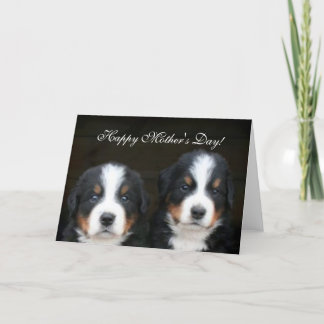 Tarjeta de felicitación feliz de los perritos de