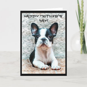 Tarjeta de felicitación feliz del bulldog francés