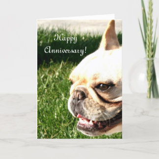 Tarjeta de felicitación feliz del bulldog francés