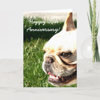 Tarjeta de felicitación feliz del bulldog francés