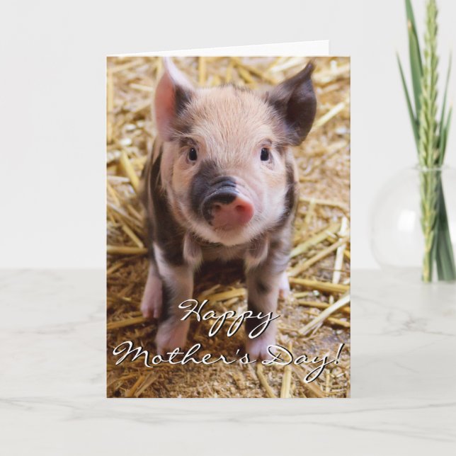 Tarjeta de felicitación feliz del cochinillo del (Anverso)